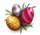 Eggs2.png